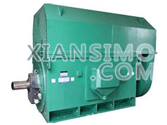 YKS4504-2YXKK(2极)高效高压电机技术参数